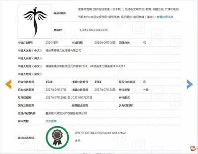 精心運(yùn)營19年，卻被商標(biāo)搶注拖了后腿？信息技術(shù)咨詢服務(wù)的警示與對策