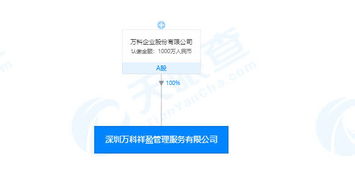 每日新注冊(cè)公司精選 信息技術(shù)咨詢服務(wù)領(lǐng)域的創(chuàng)新力量